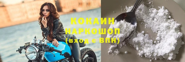 твердый Богданович