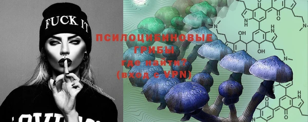 ECSTASY Белокуриха