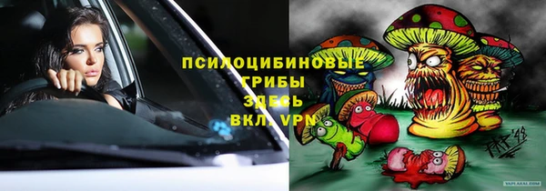 твердый Богданович