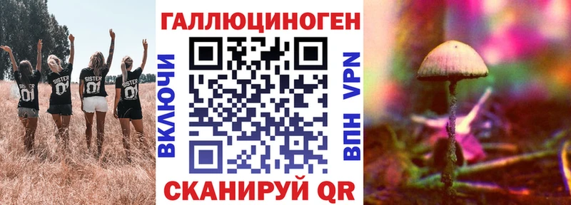 Галлюциногенные грибы Psilocybe  Бугульма 